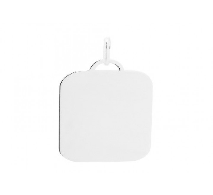 PLACA PLATA LISA 20X15MM CO2869