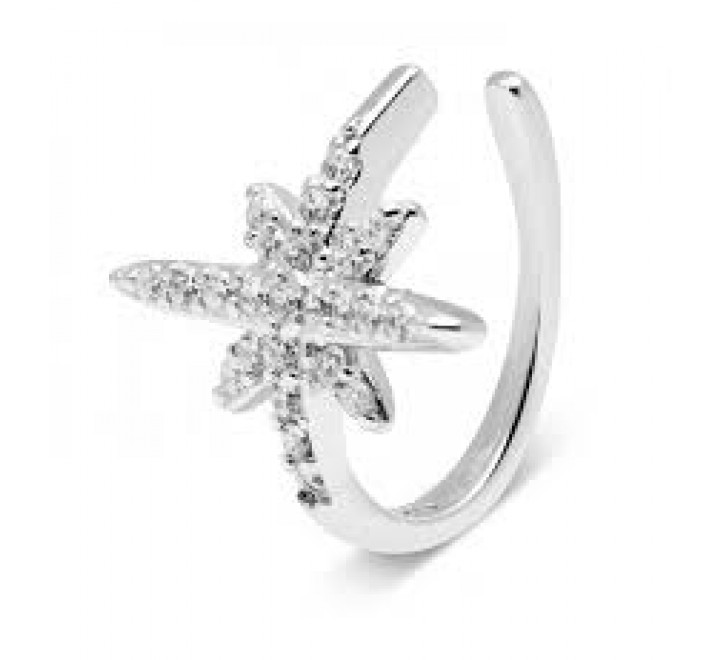 PENDIENTE LUXENTER EH2950000 EARCUFF PLATA CIRCONITA RYCHAR