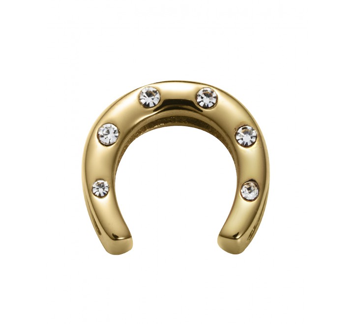 CHARMS VICEROY ACERO DORADO HERRADURA CIRCONITAS 1358M01012H