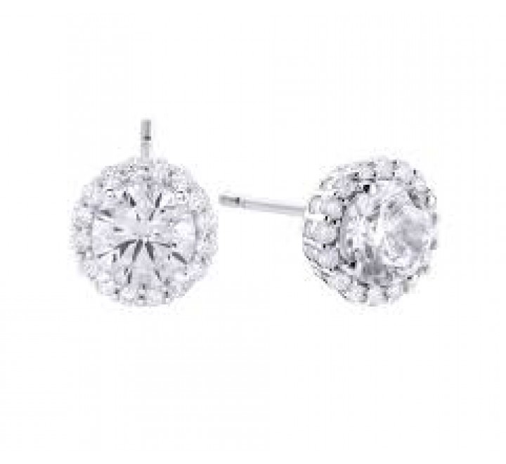PENDIENTES PLATA REDONDOS CON CIRCONITAS Y GARRAS 00506963