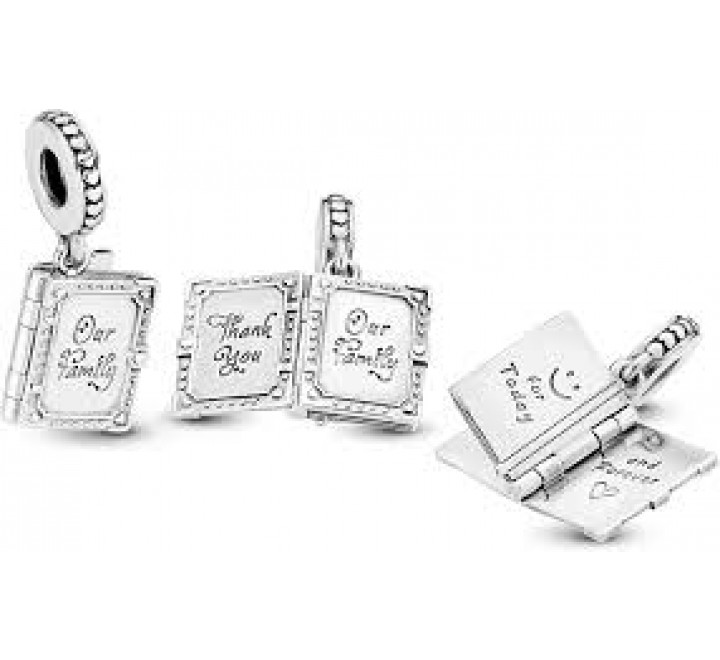 CHARMS PANDORA 798105 PLATA FAMILY