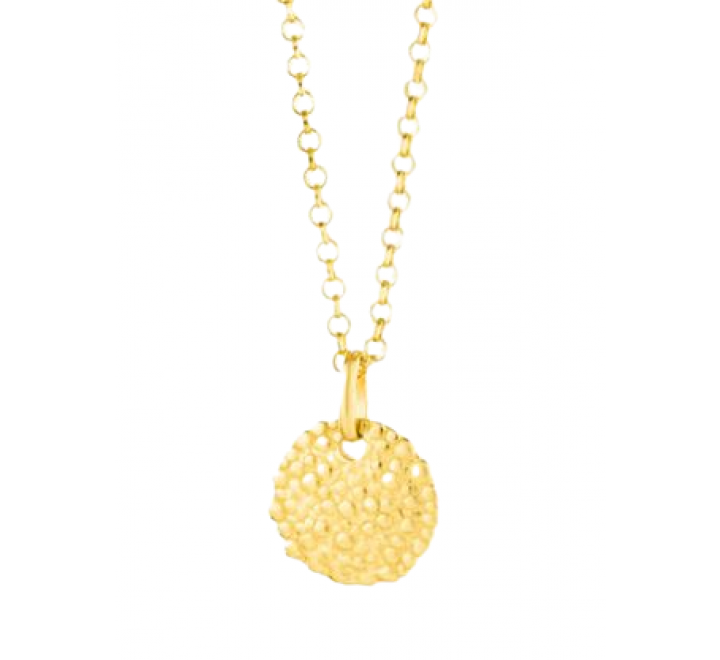 GARGANTILLA RADIANT PLATA DORADA DISCO RY000028