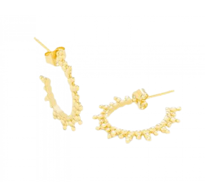 PENDIENTES RADIANT PLATA DORADA ARO RY000020