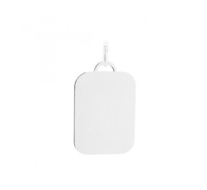 PLACA PLATA LISA 25X18MM CO2870