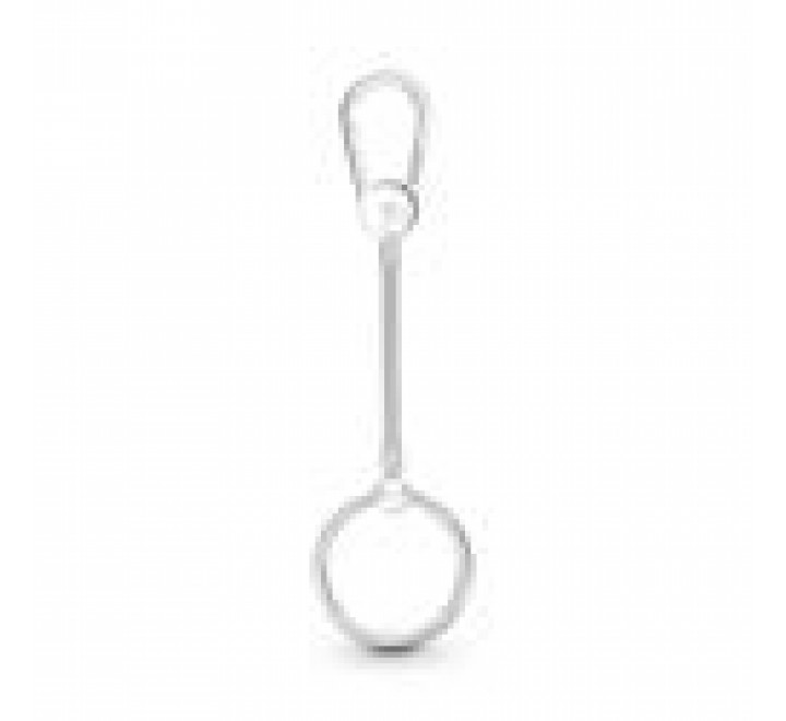 LLAVERO PANDORA PLATA SE ENTRAN CHARMS 399571C00