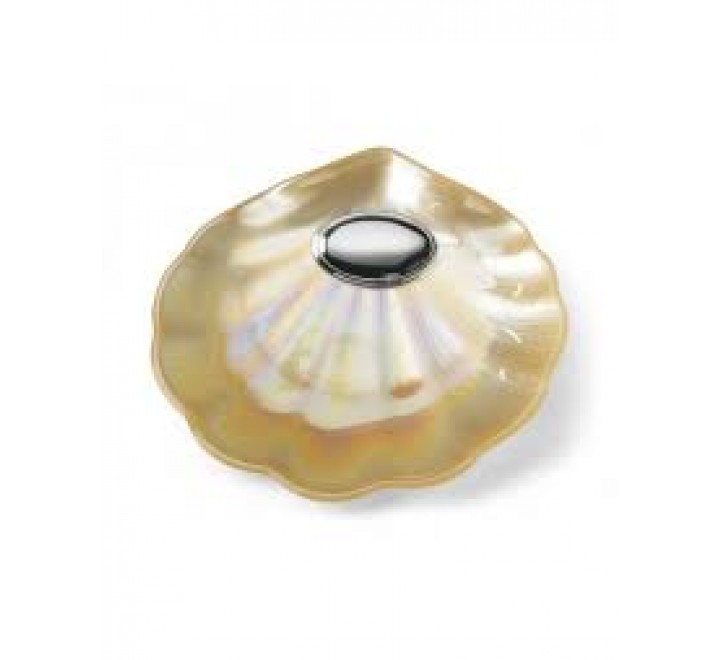 CONCHA BAUTISMO CHAMPAGNE OVALO PARA GRABAR 7/417CH