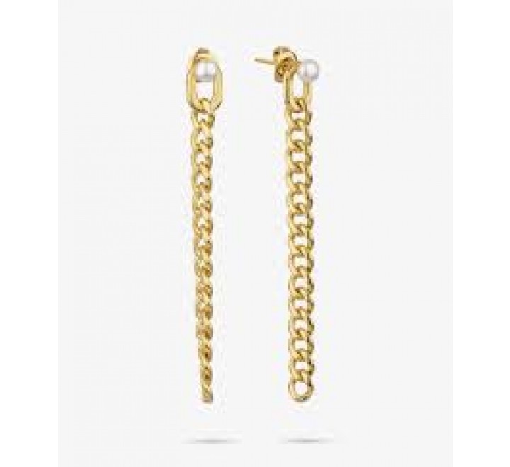 PENDIENTES RADIANT ACERO DORADO LARGOS EMILY RY000298