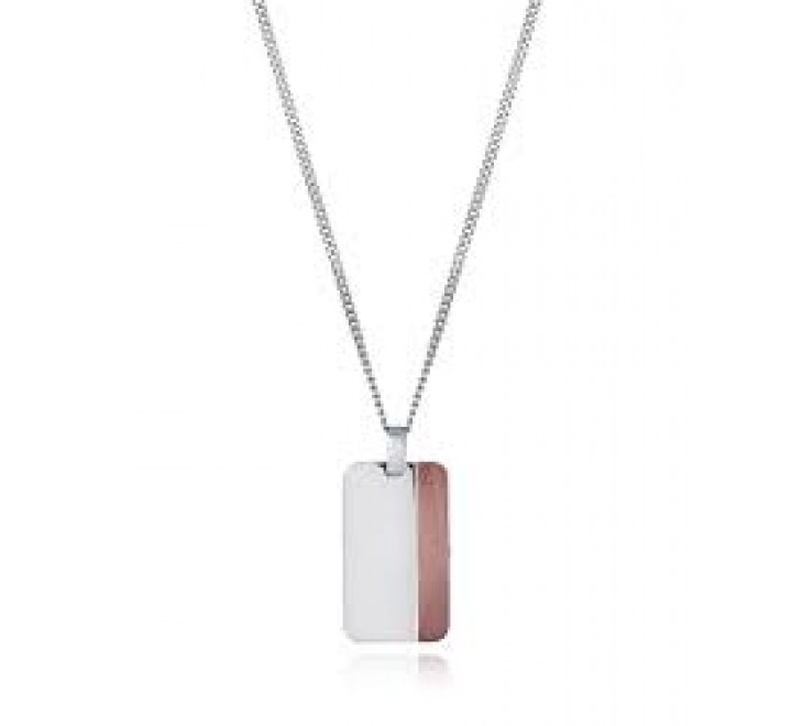 COLLAR VICEROY ACERO CON PLACA GRABABLE 75349C01000