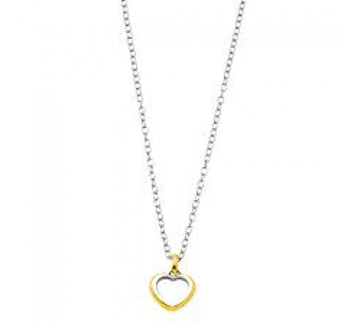 GARGANTILLA LOTUS ACERO SILUETA CORAZON BICOLOR LS1926/1/2