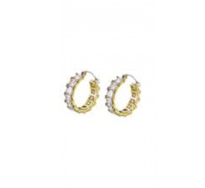 PENDIENTES LOTUS ACERO DORADO ARO CIRCONITAS LS2571/4/2