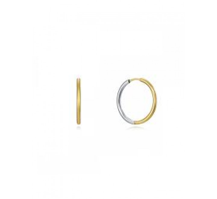 PENDIENTES VICEROY ACERO BICOLOR ARO LISO 75317E01012