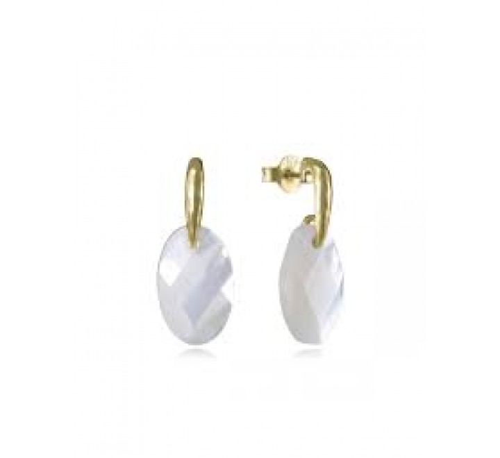 PENDIENTES VICEROY PLATA DORADA CON NACAR 2389E100-60