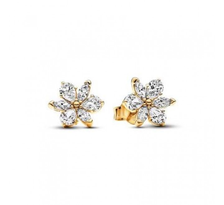 PENDIENTES PANDORA PLATA DORADA HERBARIO CIRCONITA 262633C01