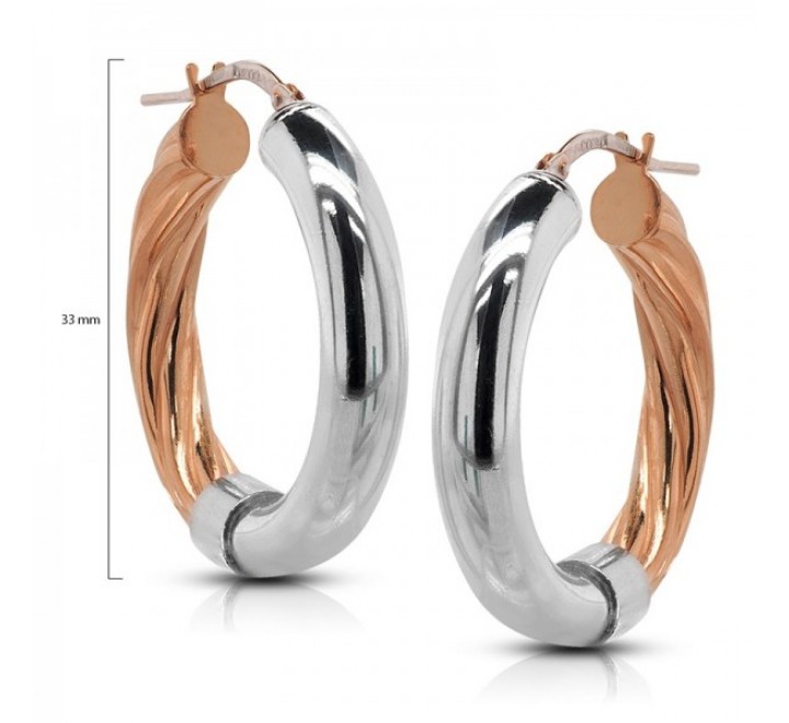 PENDIENTES PLATA BICOLOR PE81080D CIRCONITAS
