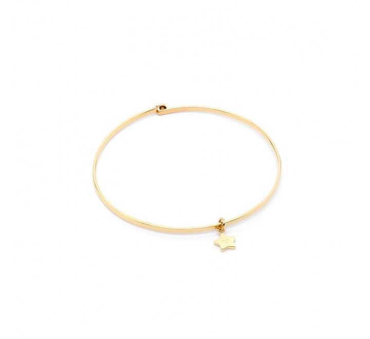 PULSERA MR WONDERFUL WJ30103 ACERO CHAPADO RIGIDA ESTRELLA