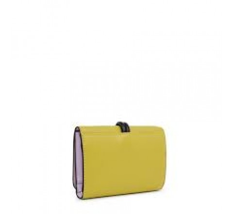 BILLETERA S TOUS CLOUD LIMA 2001855607 395901076