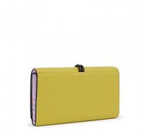 BILLETERA M TOUS CLOUD LIMA 2001855707 395901072