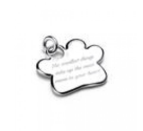 PLACA PANDORA MASCOTA HUELLA ACERO 312268C00