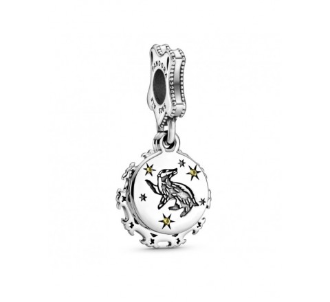 CHARMS PANDORA PLATA HARRY POTTER 798832C01