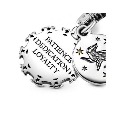 CHARMS PANDORA PLATA HARRY POTTER 798832C01