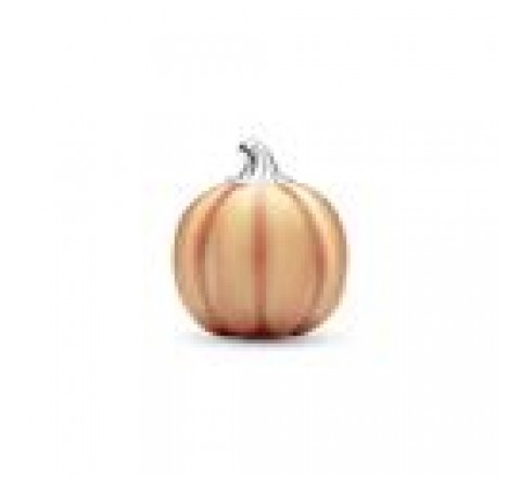 CHARM PANDORA PLATA CALABAZA QUE BRILLA 792291C01