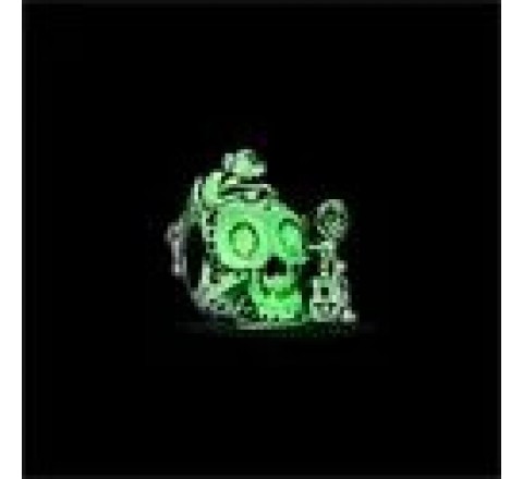 CHARM CALAVERA MIGUEL Y DANTE DE COCO 792817C01