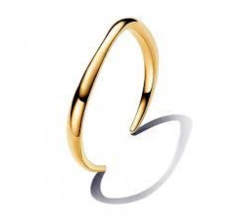 Pulsera Pandora Essence 563310C00-2 rígida