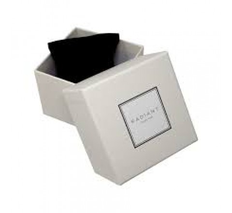 RELOJ RADIANT SEÑORA ACERO BICOLOR RA618204