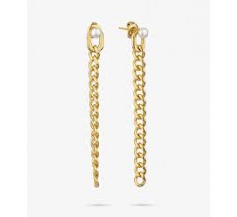 PENDIENTES RADIANT ACERO DORADO LARGOS EMILY RY000298