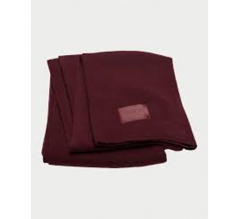 BUFANDA GUESS BRENTON WIN AW5437POL03