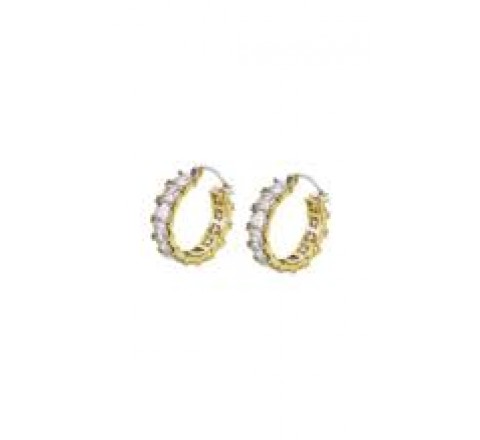 PENDIENTES LOTUS ACERO DORADO ARO CIRCONITAS LS2571/4/2