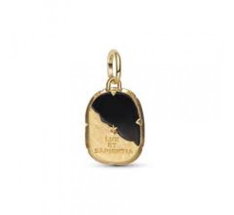 CHARM PANDORA PLATA DORADA MEDALLON BUHO 764805C01