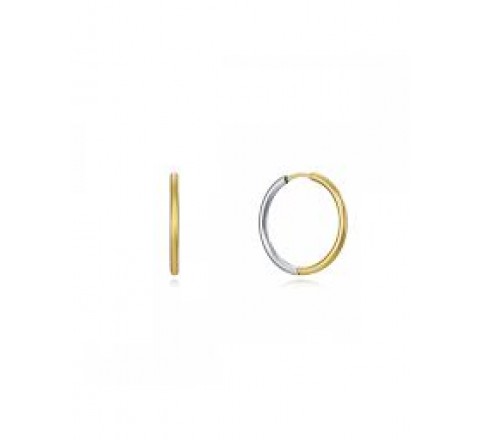 PENDIENTES VICEROY ACERO BICOLOR ARO LISO 75317E01012