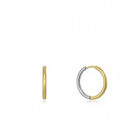 PENDIENTES VICEROY ACERO BICOLOR DORADO ARO 75316E01012